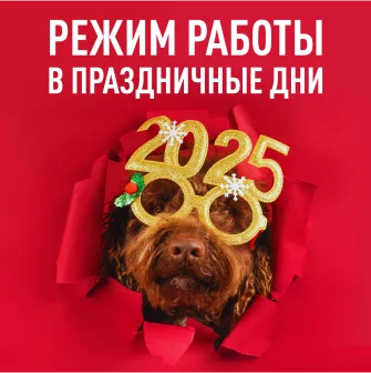 Как, когда и где покупать освещение