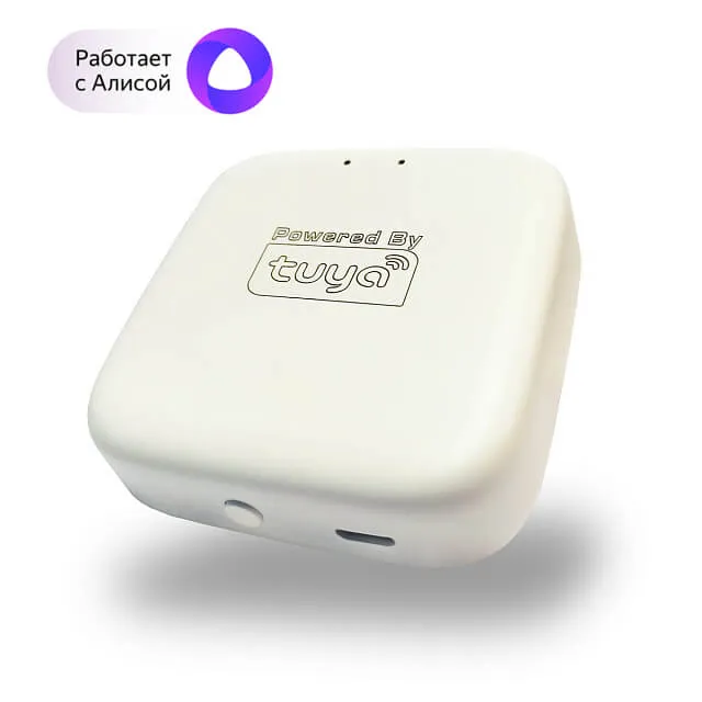 WIFI конвертер Denkirs Smart Control DK7400-WF