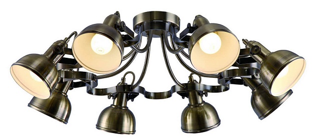 Потолочная люстра Arte Lamp Martin A5216PL-8AB Фото № 2