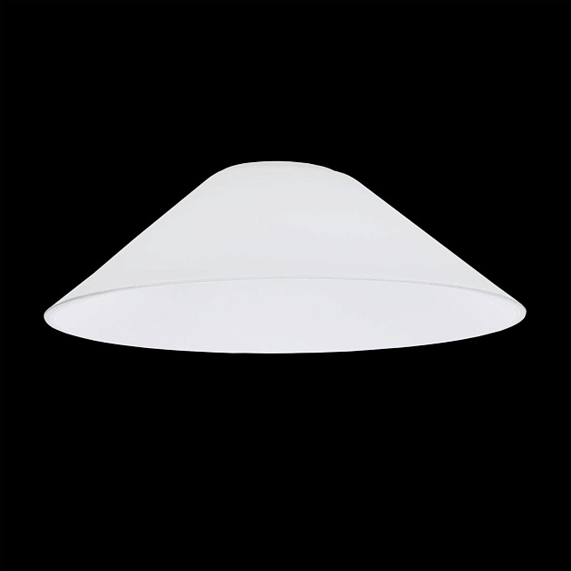 Плафон Citilux Эдисон CL450.12 Фото № 2