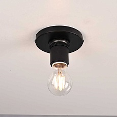 Потолочный светильник Imperium Loft RH Utilitaire Socket Flushmount 123676-22 5