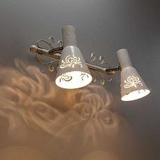 Спот Citilux Дункан CL529522 1