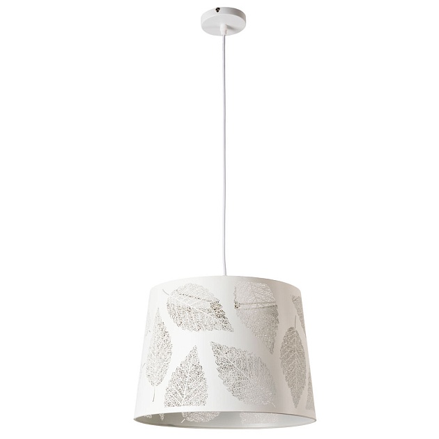 Подвесной светильник Arte Lamp Celesta A2768SP-1WH Фото № 1