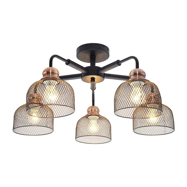 Потолочная люстра Toplight Griselda TL1158-5D Фото № 1