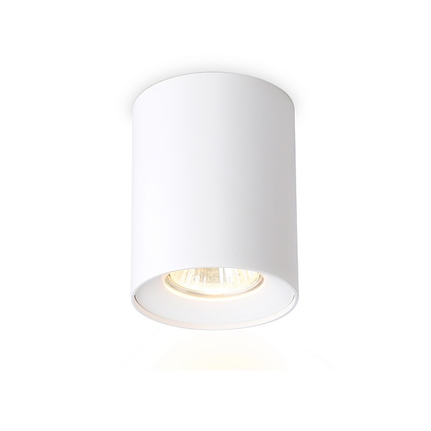 Накладной светильник Ambrella light Techno Spot Techno TN213136 изображение 1 Накладной светильник Ambrella light Techno Spot Techno TN213136 Фото № 1