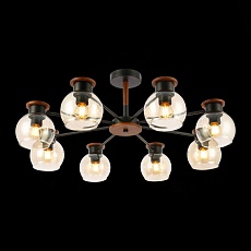 Потолочная люстра Evoluce Rasco SLE108102-08 4