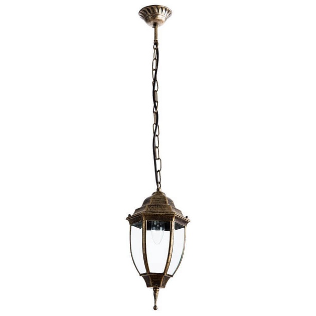 Уличный подвесной светильник Arte Lamp Pegasus A3151SO-1BN Фото № 1
