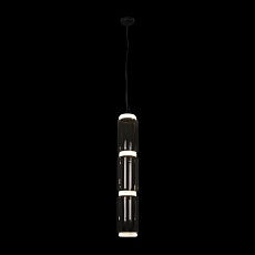 Подвесной светодиодный светильник Loft IT Noctambule 10194/L 3