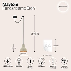 Подвесной светильник Maytoni Broni T434-PL-01-GR 1