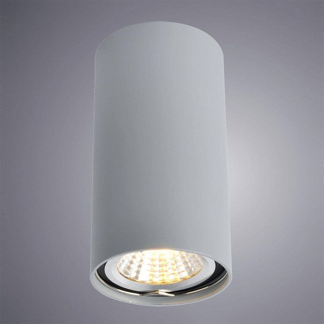 Потолочный светильник Arte Lamp A1516PL-1GY Фото № 2