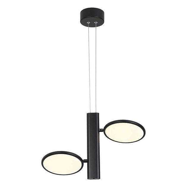 Подвесная светодиодная люстра Lussole Loft Aberdeen LSP-7084 Фото № 5