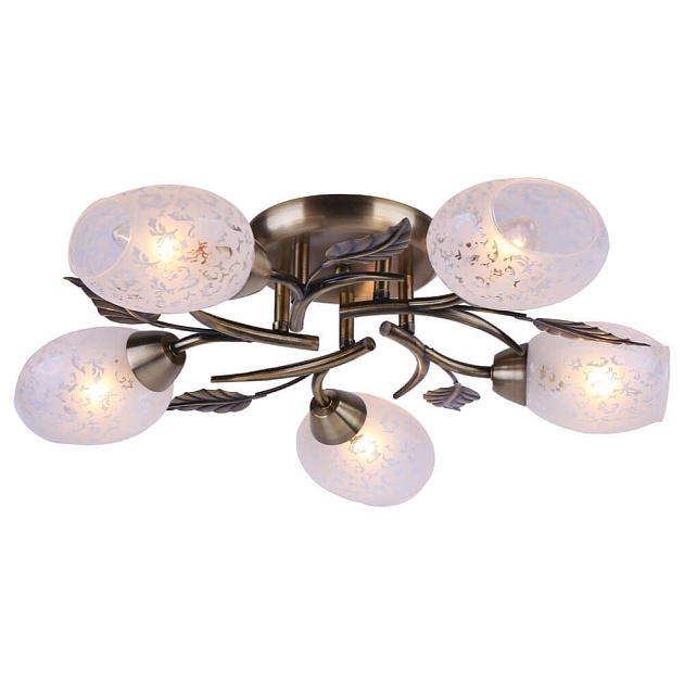 Потолочная люстра Arte Lamp Anetta A6157PL-5AB Фото № 4