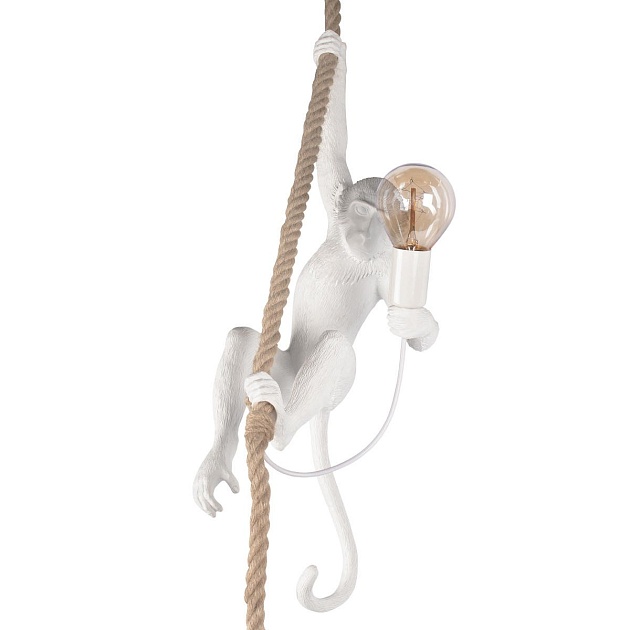 Подвесной светильник Loft IT Monkey 10314P Фото № 5
