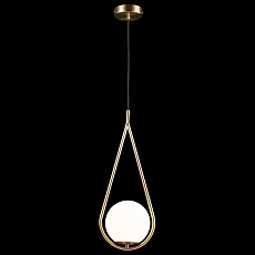Подвесной светильник Loft IT Glob LOFT2599-A 4