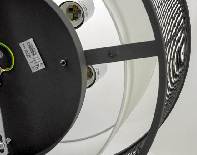 Потолочная люстра Lussole Loft GRLSP-9676 Фото № 4