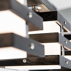 Потолочная люстра Citilux Киото CL133241 3