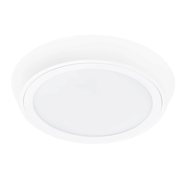 Потолочный светодиодный светильник Lightstar Urbano 216902 Фото № 1