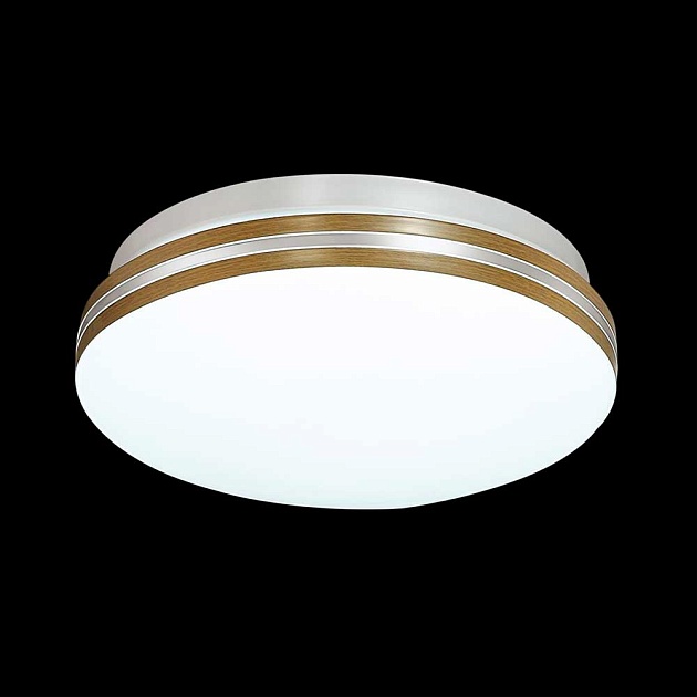 Настенно-потолочный светильник Sonex Mini Smalli 3015/CL Фото № 2