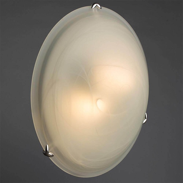 Потолочный светильник Arte Lamp Luna A3440PL-2CC Фото № 4