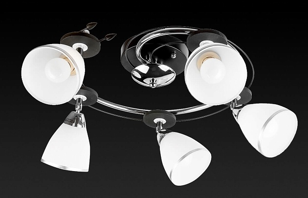 Спот Toplight Sara TL2730X-05BC Фото № 2