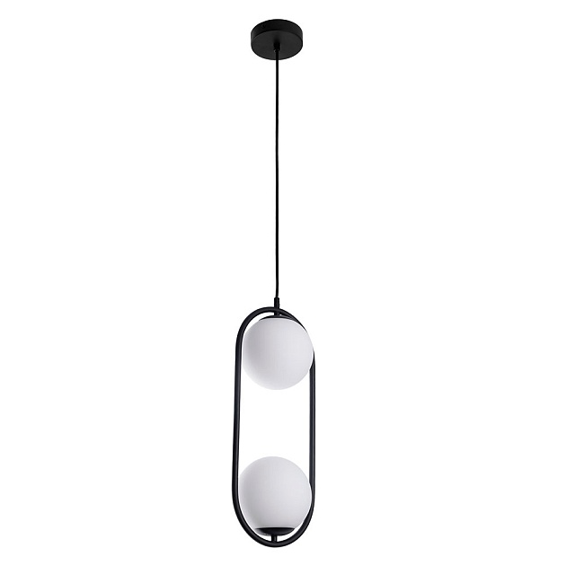 Подвесной светильник Arte Lamp MATISSE A7745SP-2BK Фото № 1