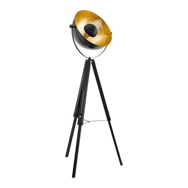 Торшер Eglo Covaleda 49618 изображение 1 Торшер Eglo Covaleda 49618 Фото № 1