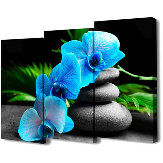 Модульная картинаToplight 100х150х3см TL-M2072 Фото № 1