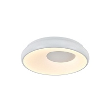 Потолочный светодиодный светильник Indigo Cratere 14016/1С White V000152L 2