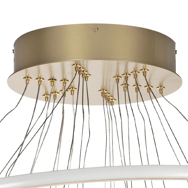 Подвесная светодиодная люстра Lightstar Rotonda 736483 Фото № 5