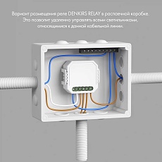 Wi-Fi реле-выключатель одноканальное Denkirs 1x2300Вт/250Вт для LED RL1001-SM/1 5