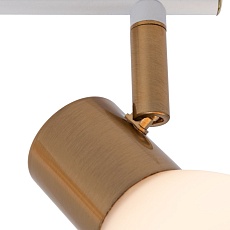 Спот Arte Lamp Falena A3117PL-2WH 1