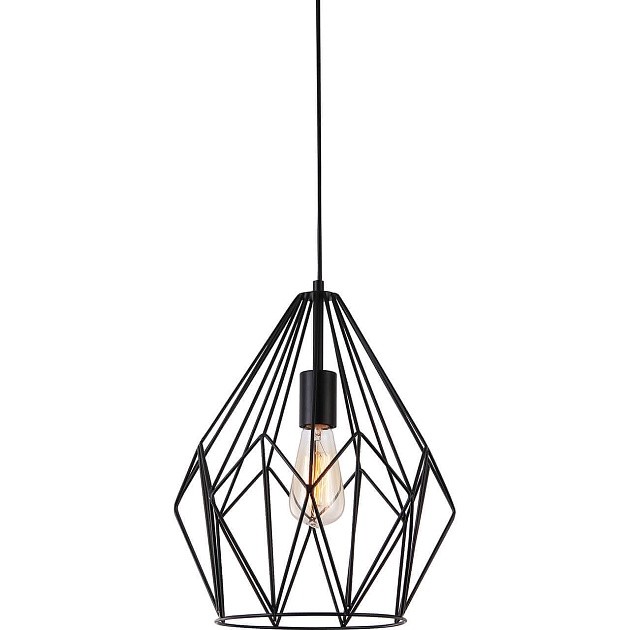 Подвесной светильник Toplight Jade TL1173H-01BK Фото № 1
