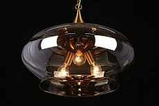 Подвесная люстра Aployt Franko APL.601.16.03 4