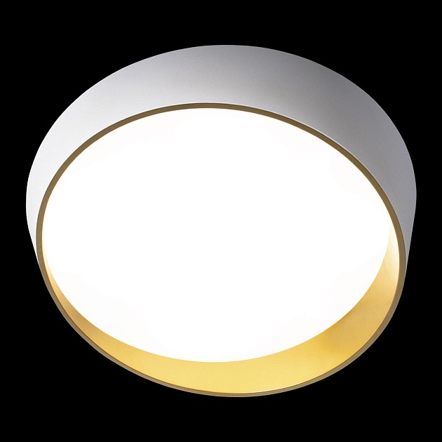 Потолочный светодиодный светильник Loft IT Coin 10199 White Фото № 5
