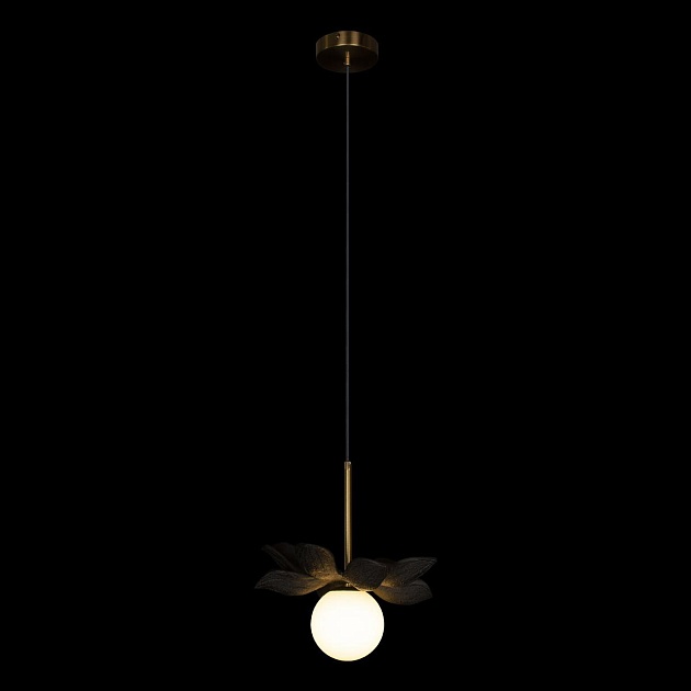 Подвесной светильник Loft IT Monro 10213/B Black Фото № 2
