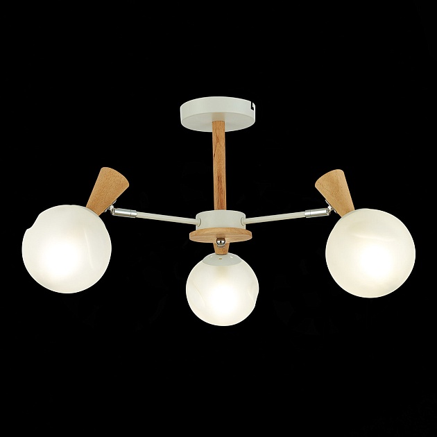 Потолочная люстра Evoluce Catania SLE220702-03 Фото № 4