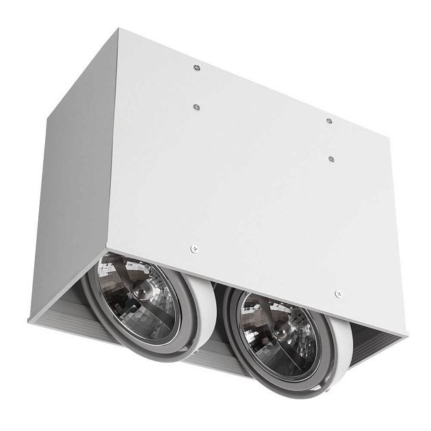 Потолочный светильник Arte Lamp Cardani A5936PL-2WH Фото № 3
