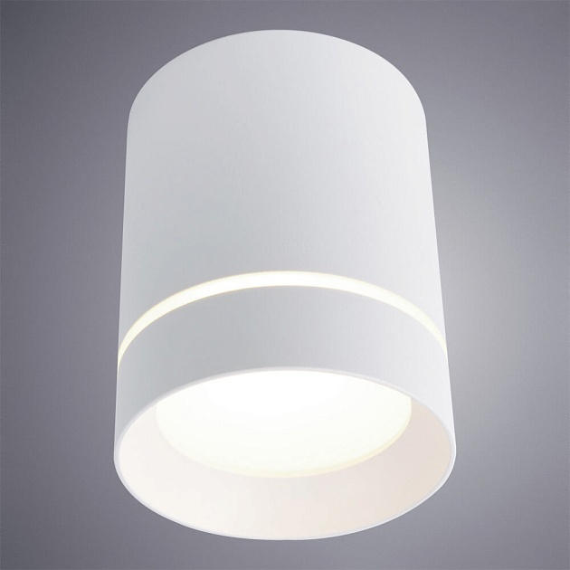 Потолочный светодиодный светильник Arte Lamp Elle A1949PL-1WH Фото № 2