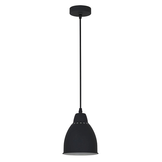 Подвесной светильник Camelion PL-430S-1 C02 13081 Фото № 1