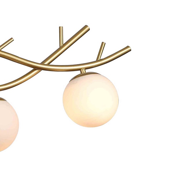 Подвесная люстра F-Promo Avis 2742-4P Фото № 4