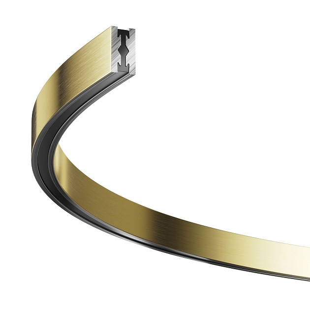 Шинопровод Maytoni Flarity TRX154-SR-D650-BS Фото № 1