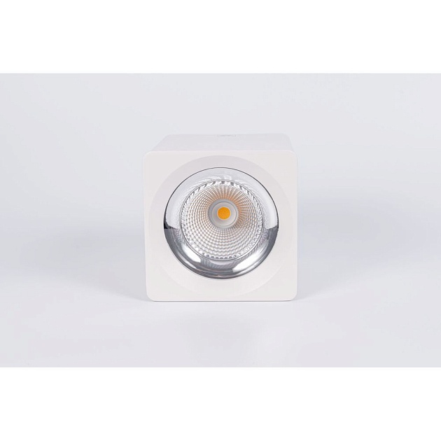 Потолочный светодиодный светильник Fiberli CH-SD220-1 12120101 изображение 5 Потолочный светодиодный светильник Fiberli CH-SD220-1 12120101 Фото № 5