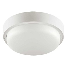 Накладной светодиодный светильник WOLTA LCL04-12W-R21-4K-SM