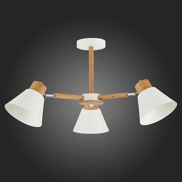 Потолочная люстра Evoluce Buve SLE103702-03 Фото № 3