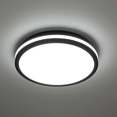 Светильник накладной Citilux LUNS CL711021V 3