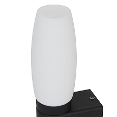 Бра Arte Lamp Aqua-Bastone A1209AP-1BK 1