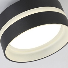 Потолочный светильник Ambrella light TN5421 4