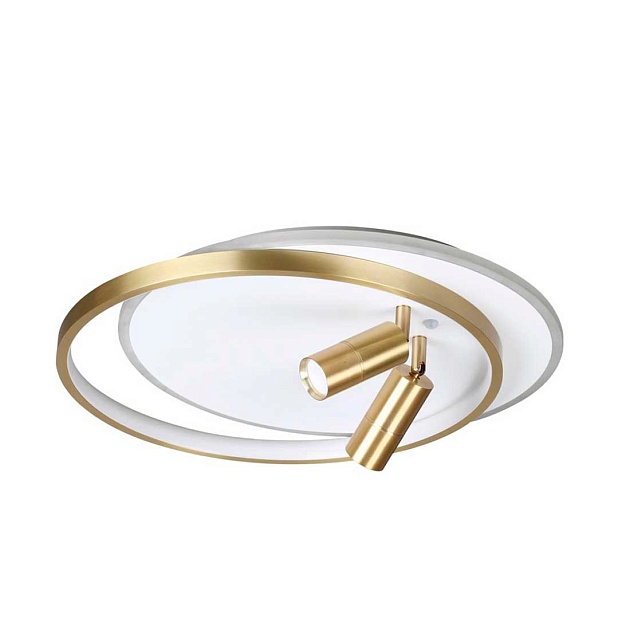 Потолочная светодиодная люстра Lumion Naoko 5603/63CL Фото № 1