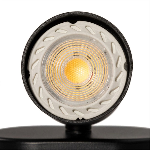 Спот Arte Lamp Aquarius A3226AP-1BK Фото № 2