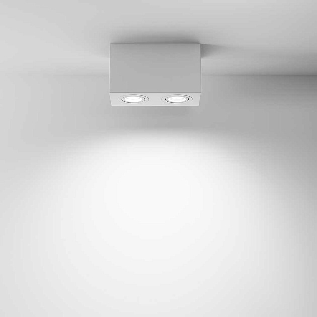 Потолочный светильник Maytoni Technical Atom C017CL-02W Фото № 7